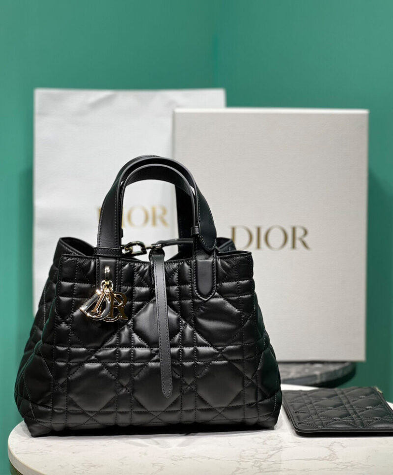 Christian Dior Medium Dior Toujours Bag